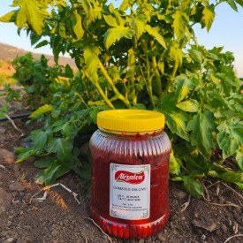 Domates Salçası 2 Kg